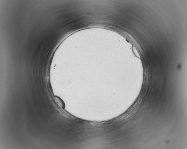 X0000116600908201001221255