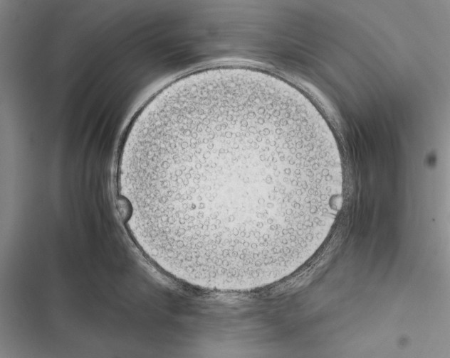 X0000116600910201001221255