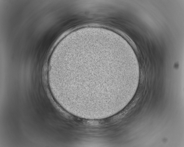 X0000116600911201001221255