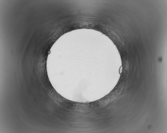 X0000116600914201001221254