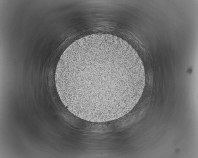 X0000116600915201001221254