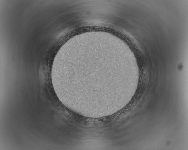 X0000116600918201001221254