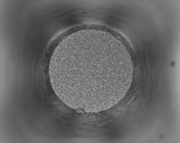 X0000116600919201001221254
