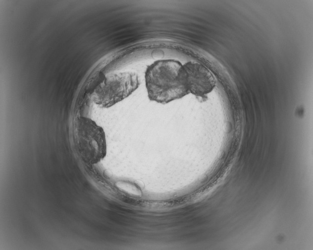X0000116600921201001221254