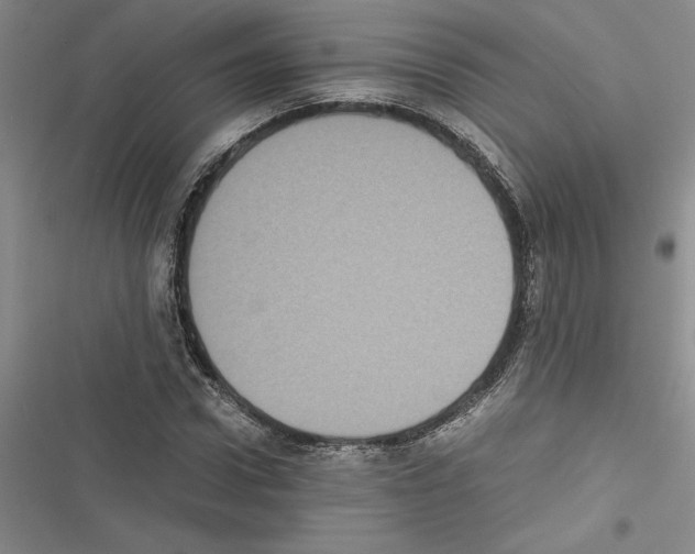 X0000116600922201001221254