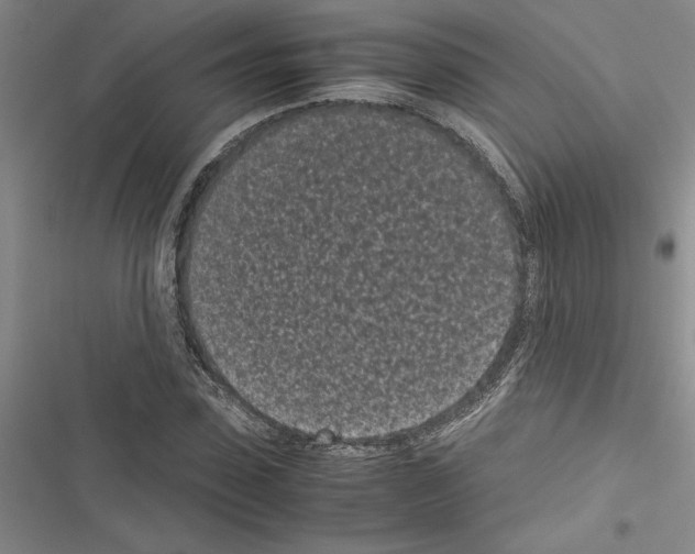 X0000116600923201001221254