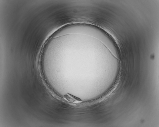 X0000116600925201001221254