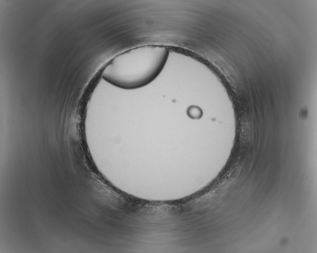 X0000116600926201001221254
