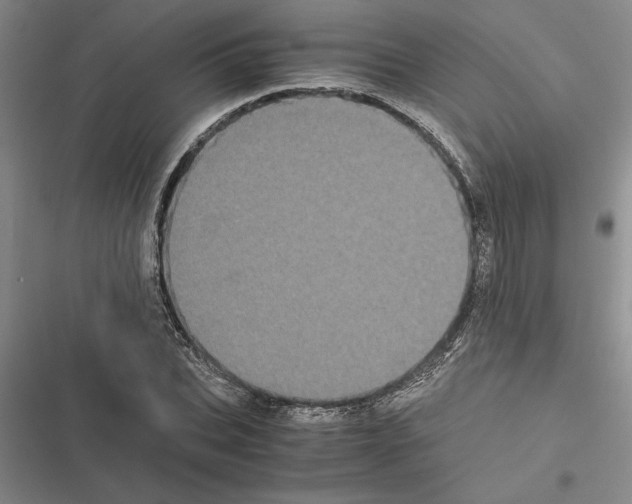 X0000116600927201001221254