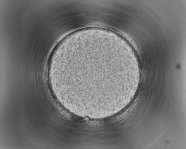 X0000116600931201001221255