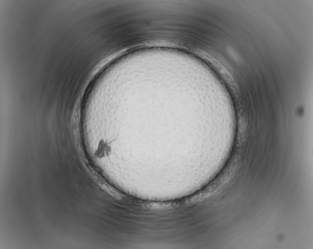 X0000116600933201001221255