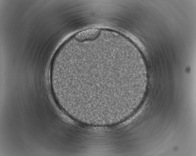X0000116600934201001221255