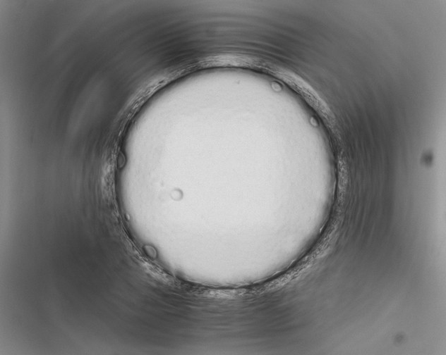 X0000116600937201001221255