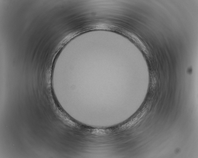 X0000116600938201001221255