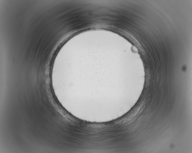 X0000116600939201001221255