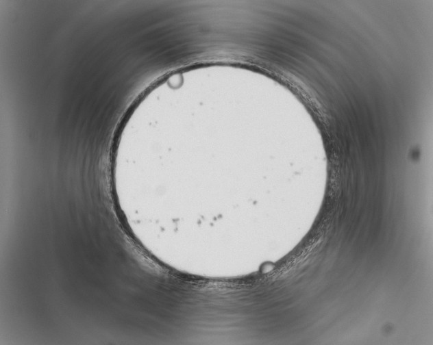 X0000116600942201001221255