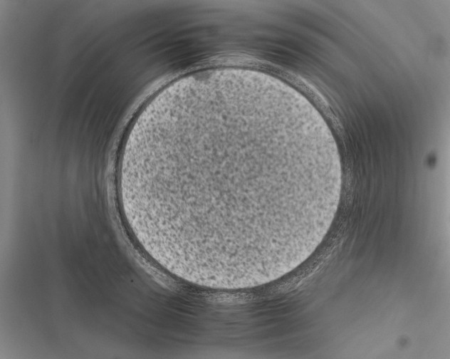 X0000116600947201001221255