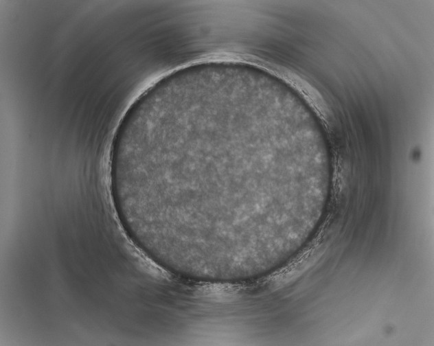 X0000116600950201001221255