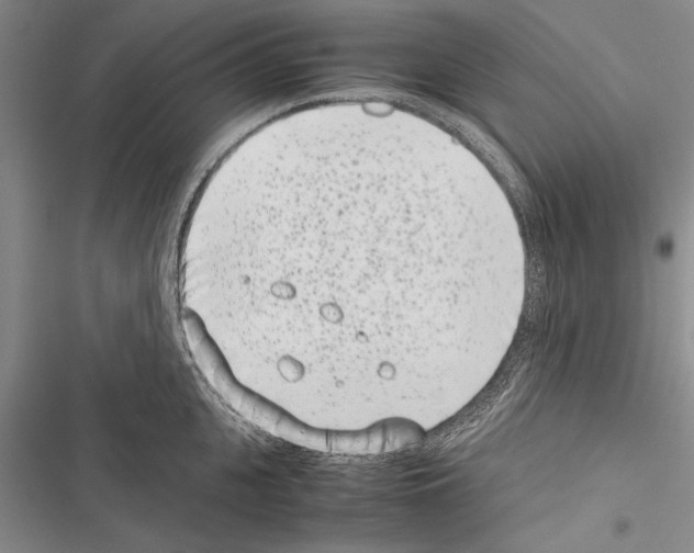 X0000116600951201001221255
