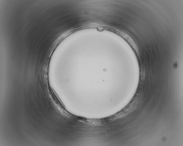 X0000116600954201001221255