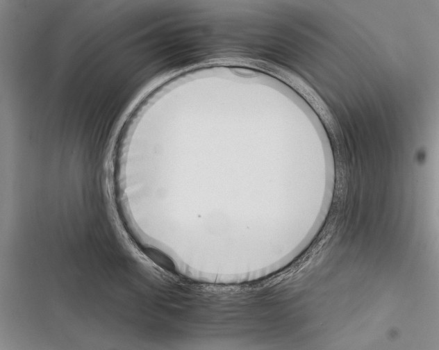 X0000116600955201001221255