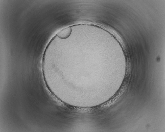 X0000116600958201001221255