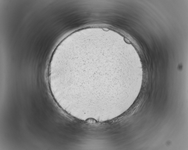 X0000116600959201001221255