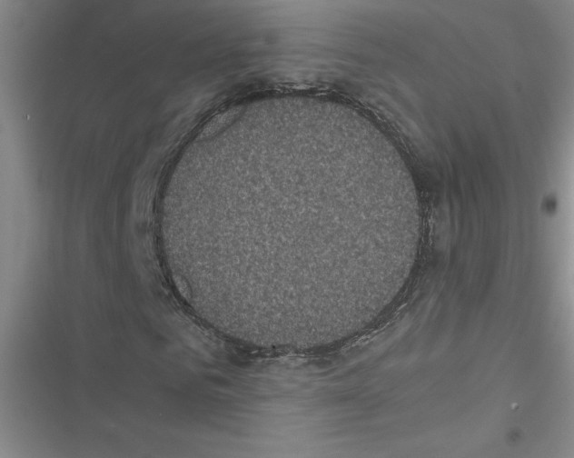 X0000116600961201001221254