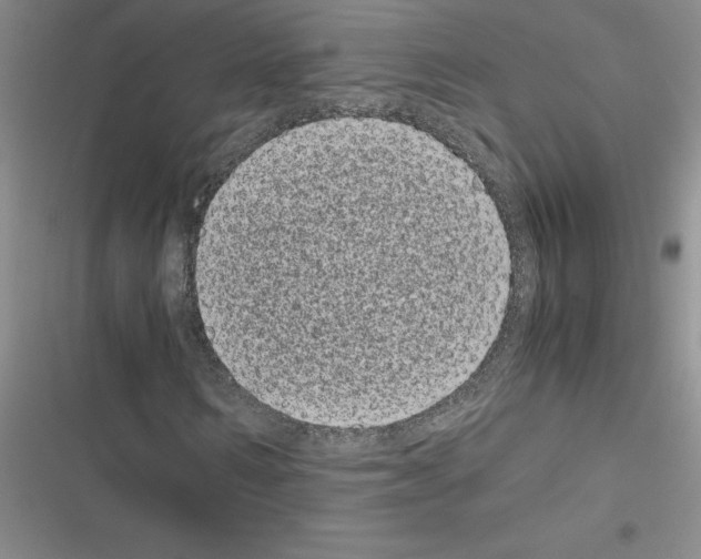 X0000116600962201001221254