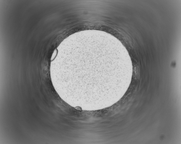 X0000116600963201001221254