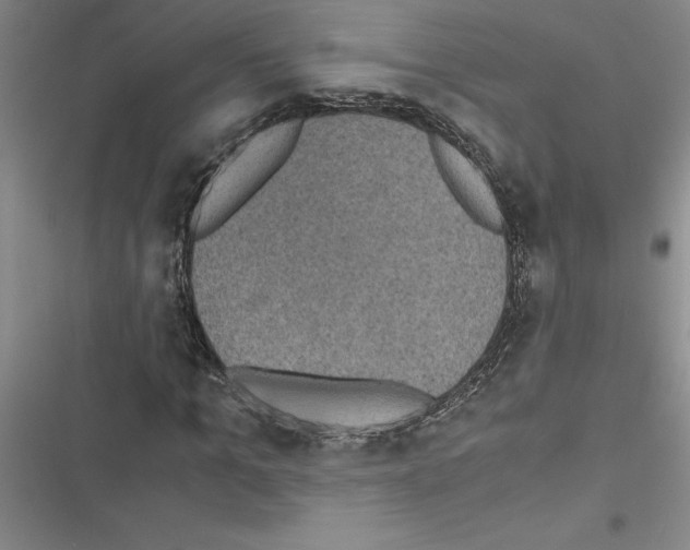 X0000116600965201001221254