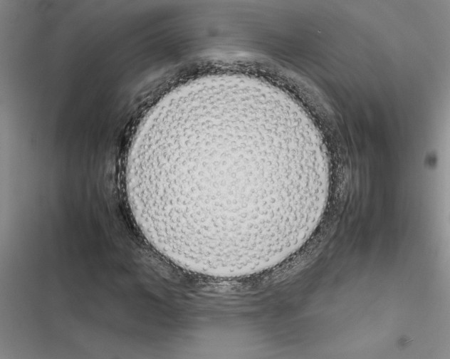 X0000116600966201001221254