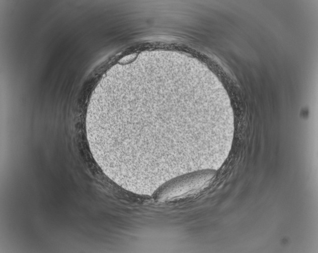 X0000116600967201001221254