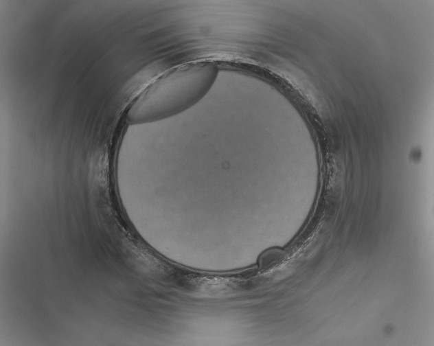 X0000116600969201001221254