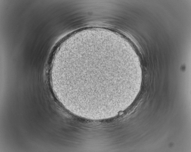 X0000116600971201001221254