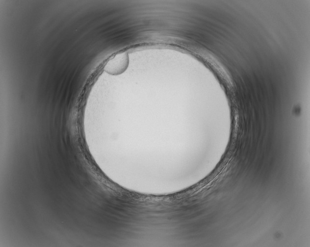 X0000116600972201001221254