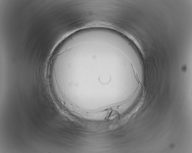 X0000116600973201001221254