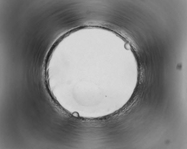 X0000116600976201001221254