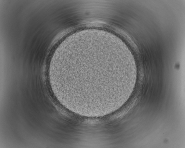 X0000116600978201001221254