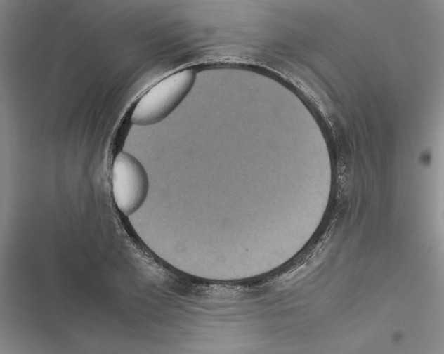 X0000116600981201001221254