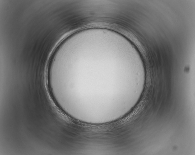 X0000116600984201001221254