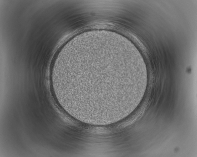 X0000116600986201001221254