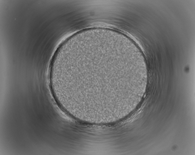 X0000116600987201001221254