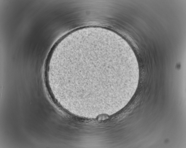 X0000116600991201001221254