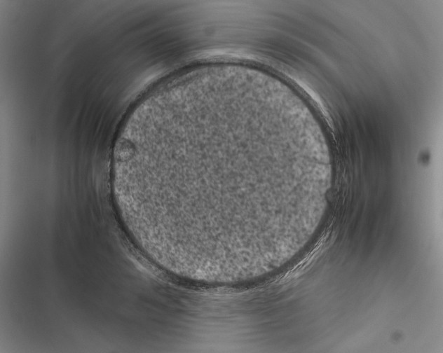 X0000116600992201001221254