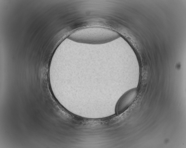 X0000116600993201001221254