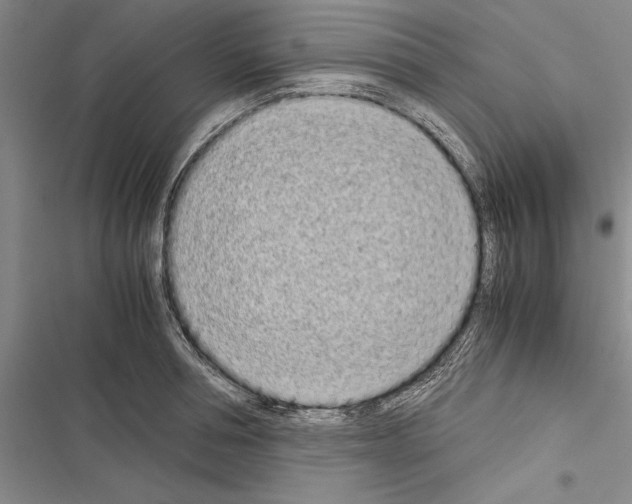 X0000116600994201001221254