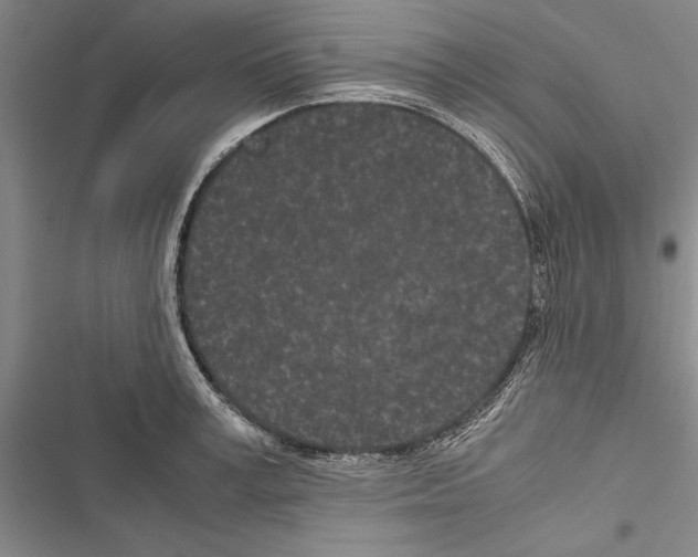 X0000116600995201001221254