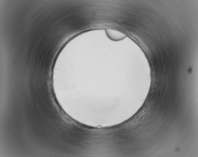 X0000116600996201001221254