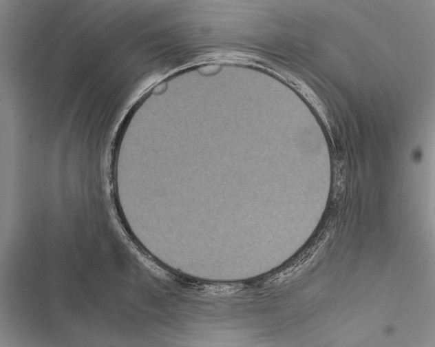 X0000116600997201001221254